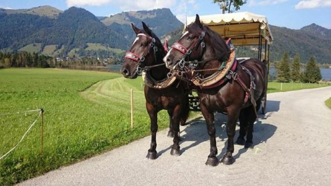 瓦尔赫湖Reitanlage Dagnhof公寓 外观 照片